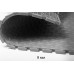 ПВХ плитка Sold Grain 4 мм